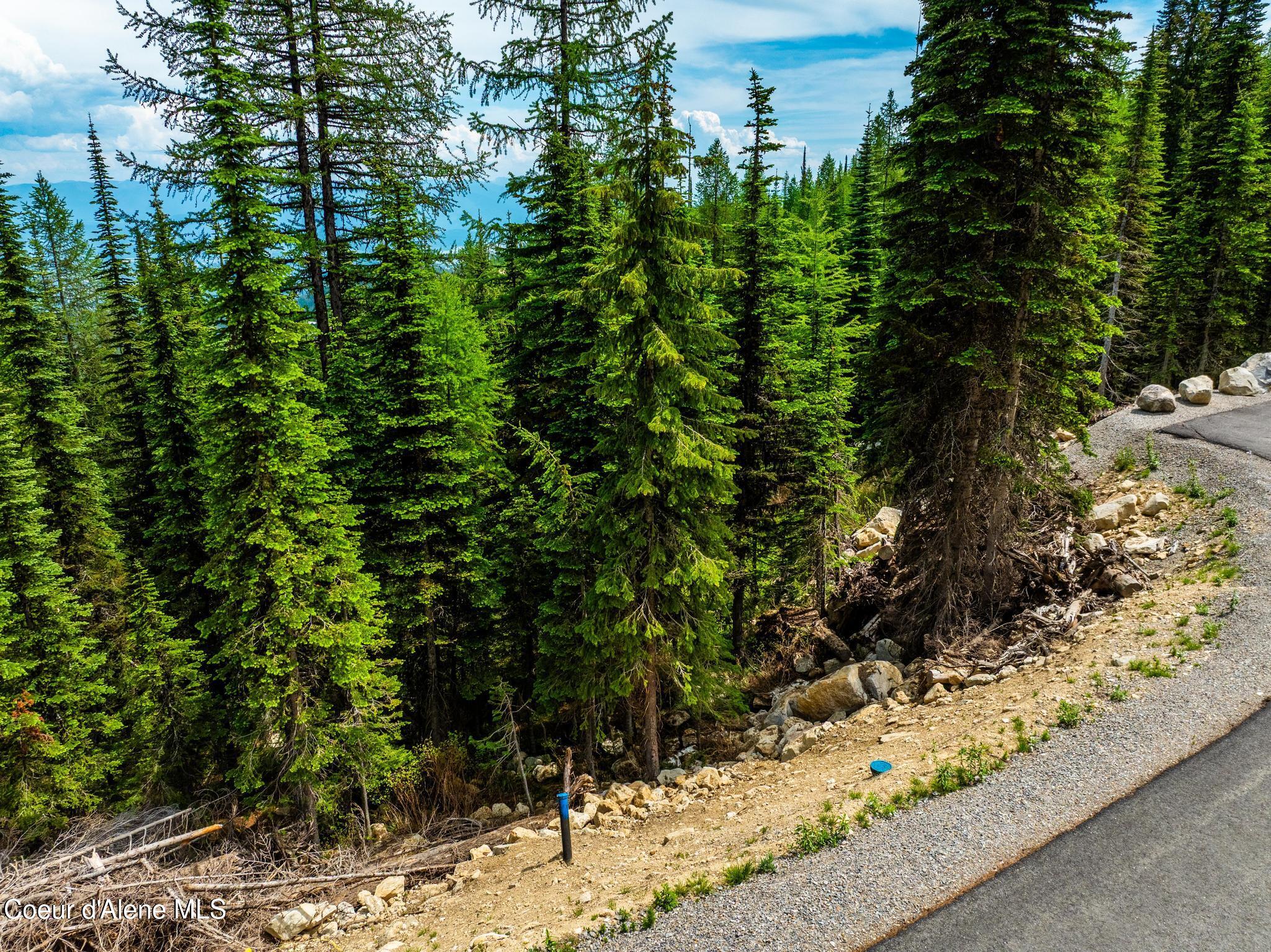 Nna Nna Snag Line Lane Sandpoint, ID 83864 - Photo 3 of 25 DJI_20250612041259_0703_D-HDR