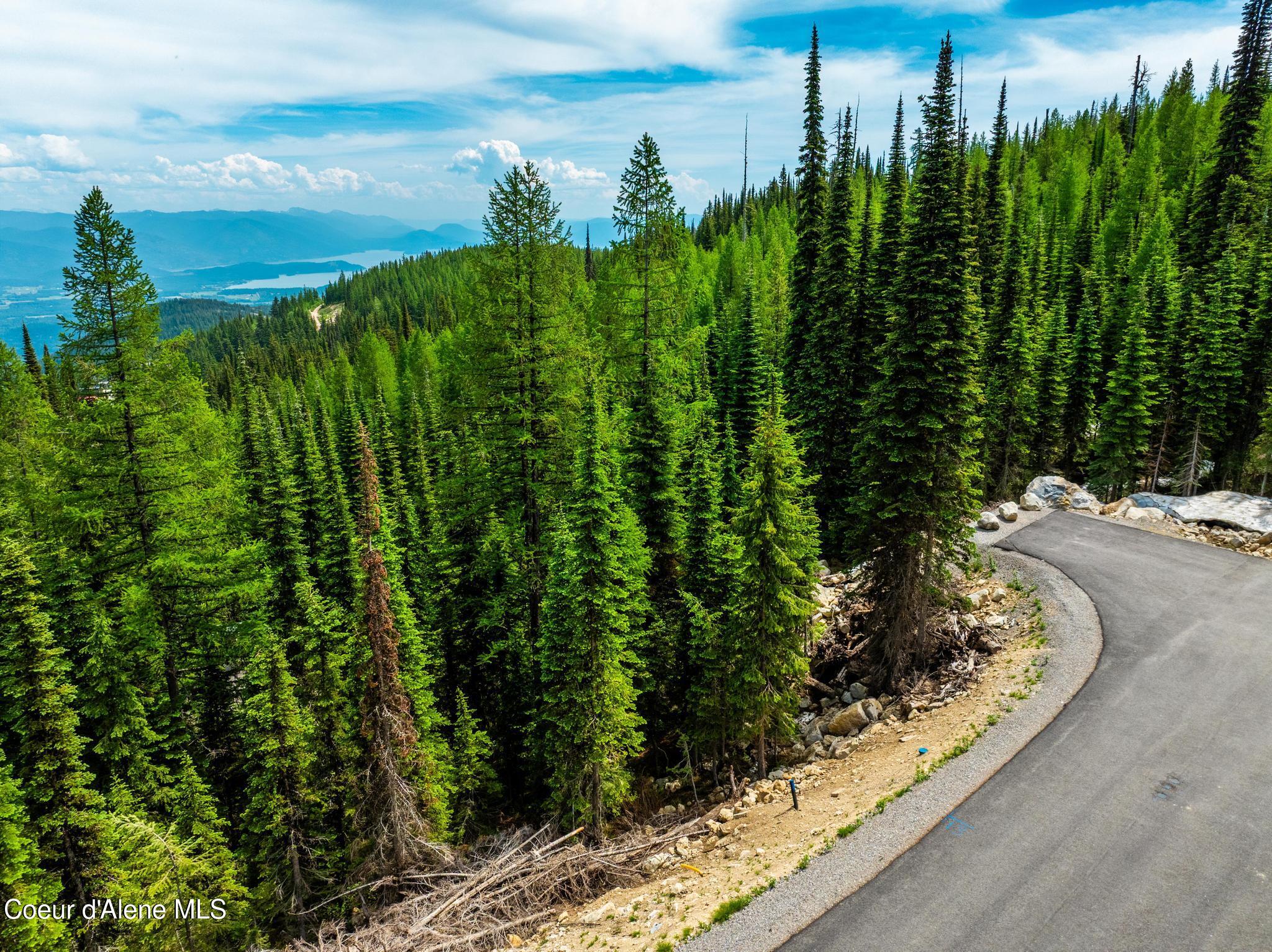 Nna Nna Snag Line Lane Sandpoint, ID 83864 - Photo 4 of 25 DJI_20250612041313_0713_D-HDR