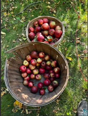 $395,000 | 333 5th Avenue Northeast, Chisholm, MN 55719