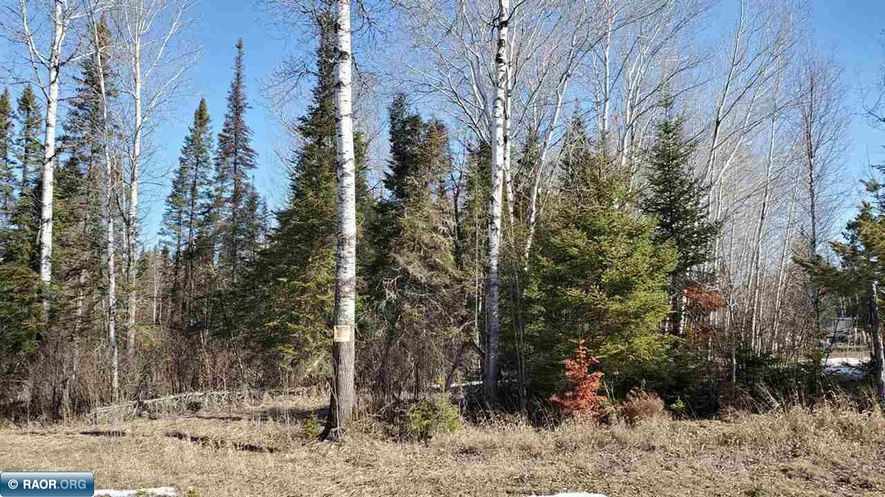 Tbd Skarp Road Embarrass, MN 55732 - Photo 2 of 7