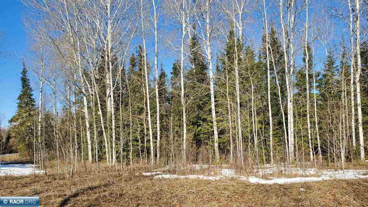 Tbd Skarp Road Embarrass, MN 55732 - Photo 4 of 7