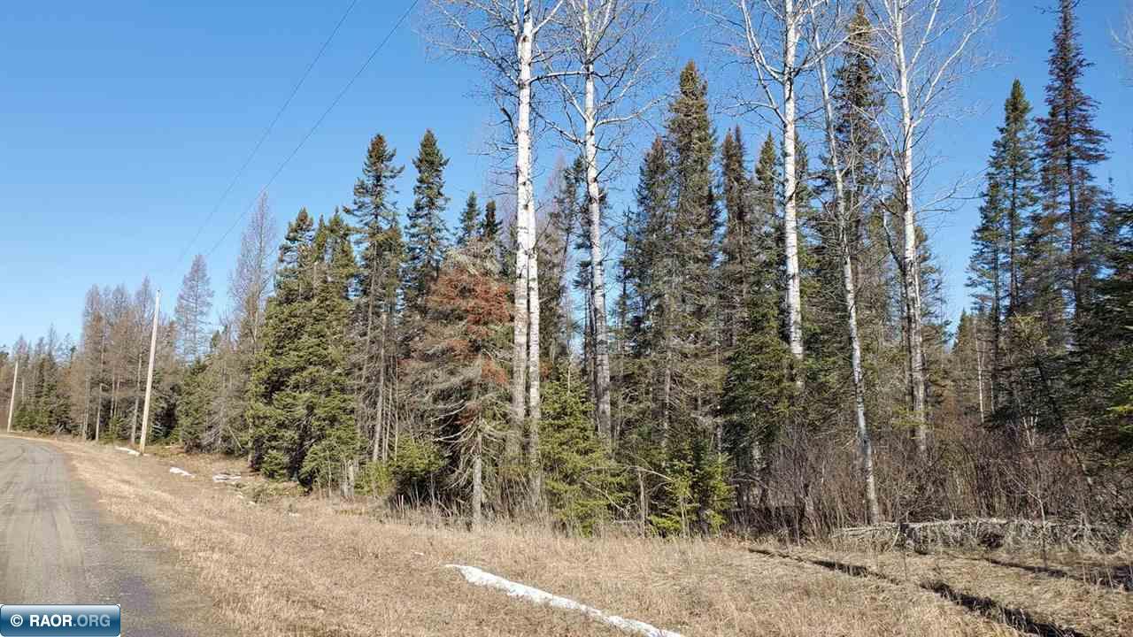 Tbd Skarp Road Embarrass, MN 55732 - Photo 5 of 7