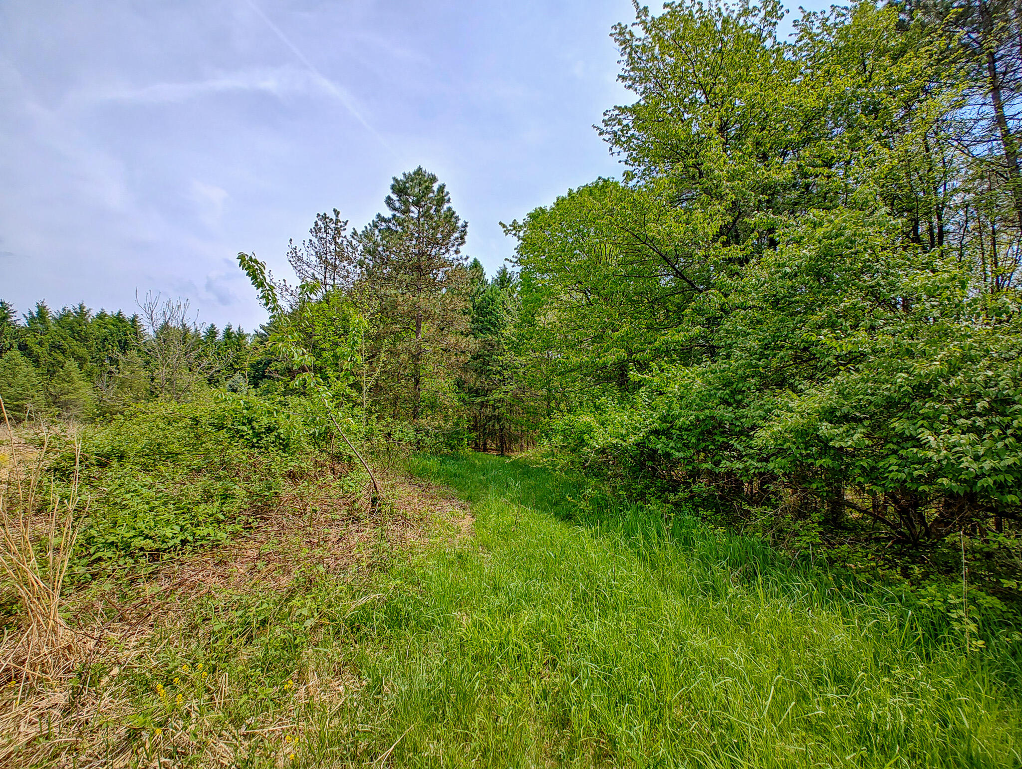 Tipsico Lake Road Fenton, MI 48430 - Photo 3 of 18 IMG_20260518_115735041_HDR