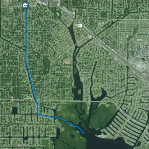 a view of a flower in a garden