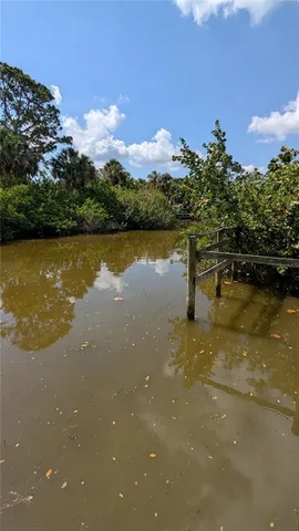 a view of a yard with plants and tree