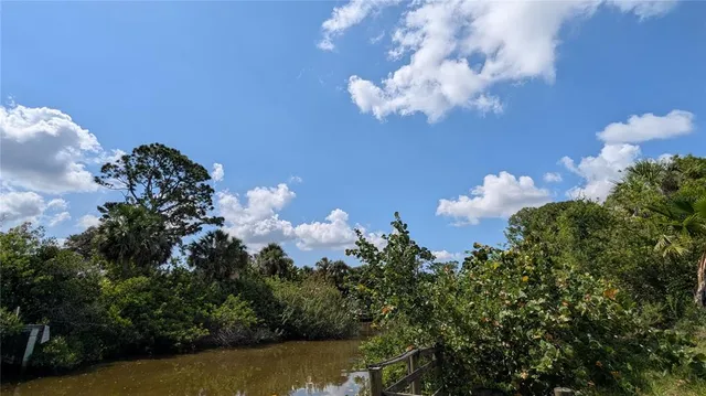 a view of a bunch of trees and bushes