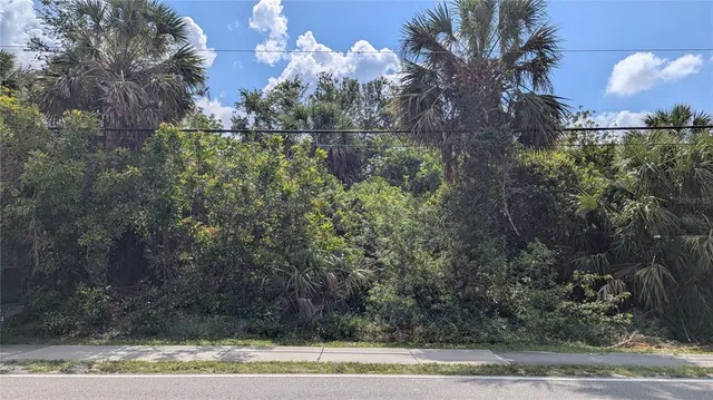 a view of a yard with a tree