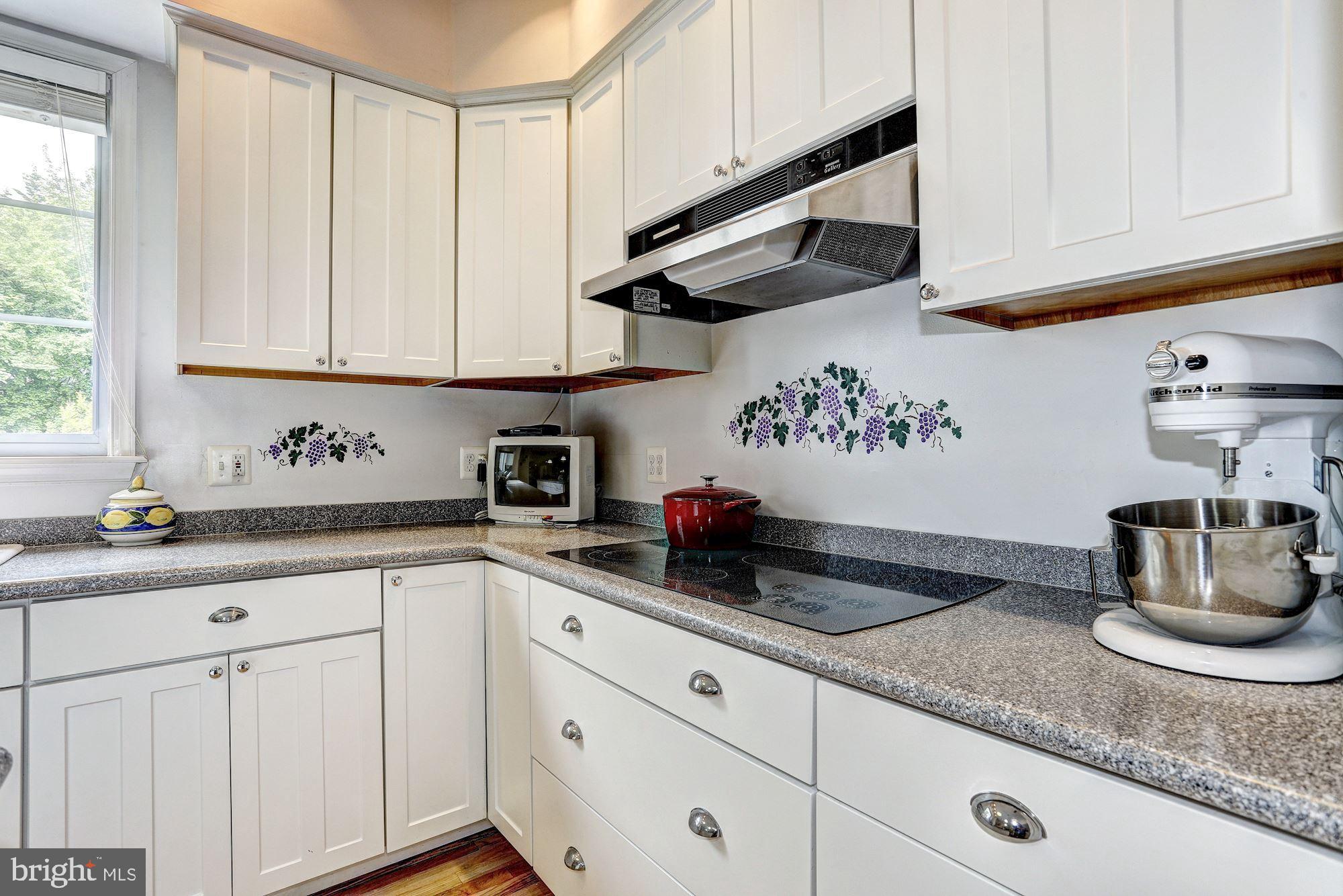 202 Holly Road Mayo, MD 21037 - Photo 14 of 37 Kitchen
