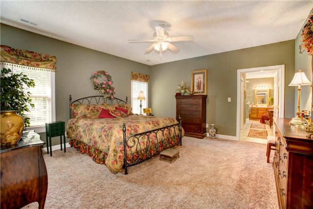 32015 Ardmore Ridge Road Ardmore, TN 38449 - Photo 7 of 19 Master Bedroom