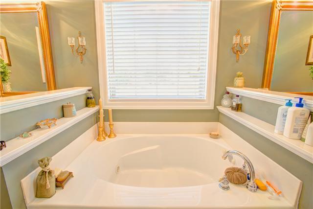 32015 Ardmore Ridge Road Ardmore, TN 38449 - Photo 10 of 19 Jacuzzi tub in large master bathroom!