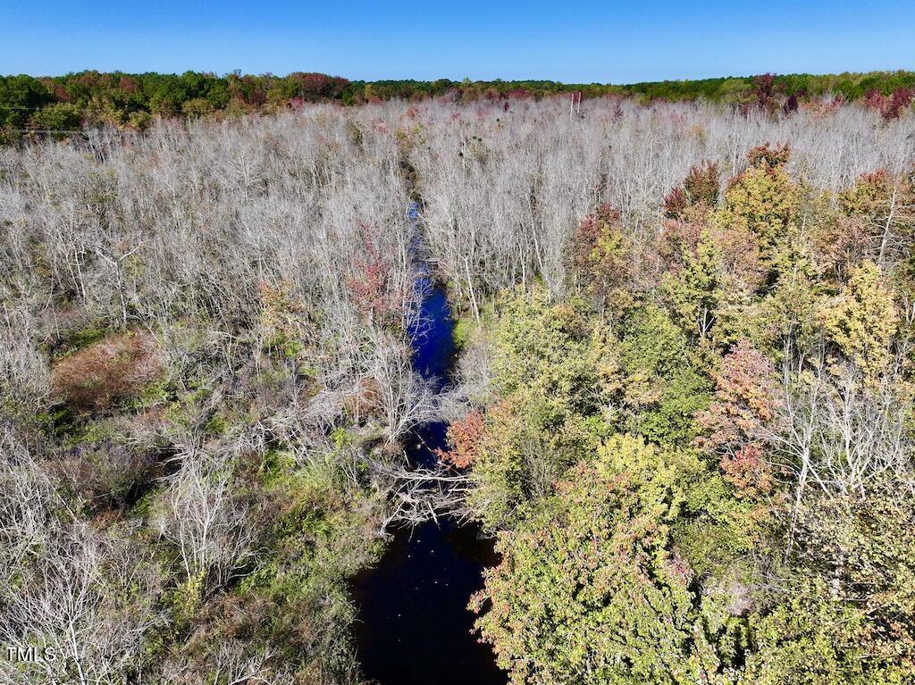 0 Buck Swamp Road Pikeville, NC 27863 - Photo 15 of 38 15