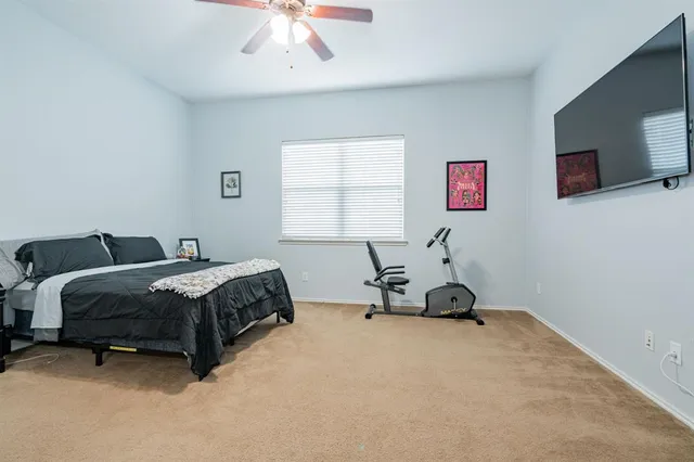 a living room with a bed furniture and a window