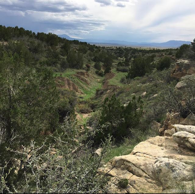 12 Apache Creek Ranch Rye, CO 81069 - Photo 8 of 18