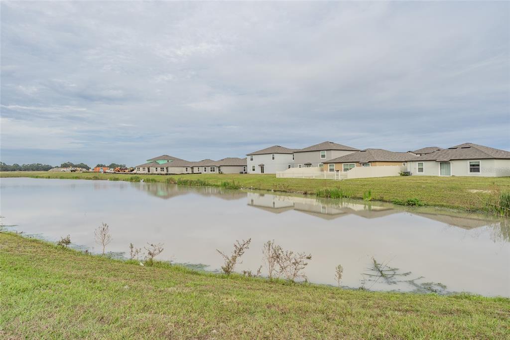 31807 Barrel Wave Way Wesley Chapel, FL 33545 - Photo 45 of 61 a view of a lake with houses in the back