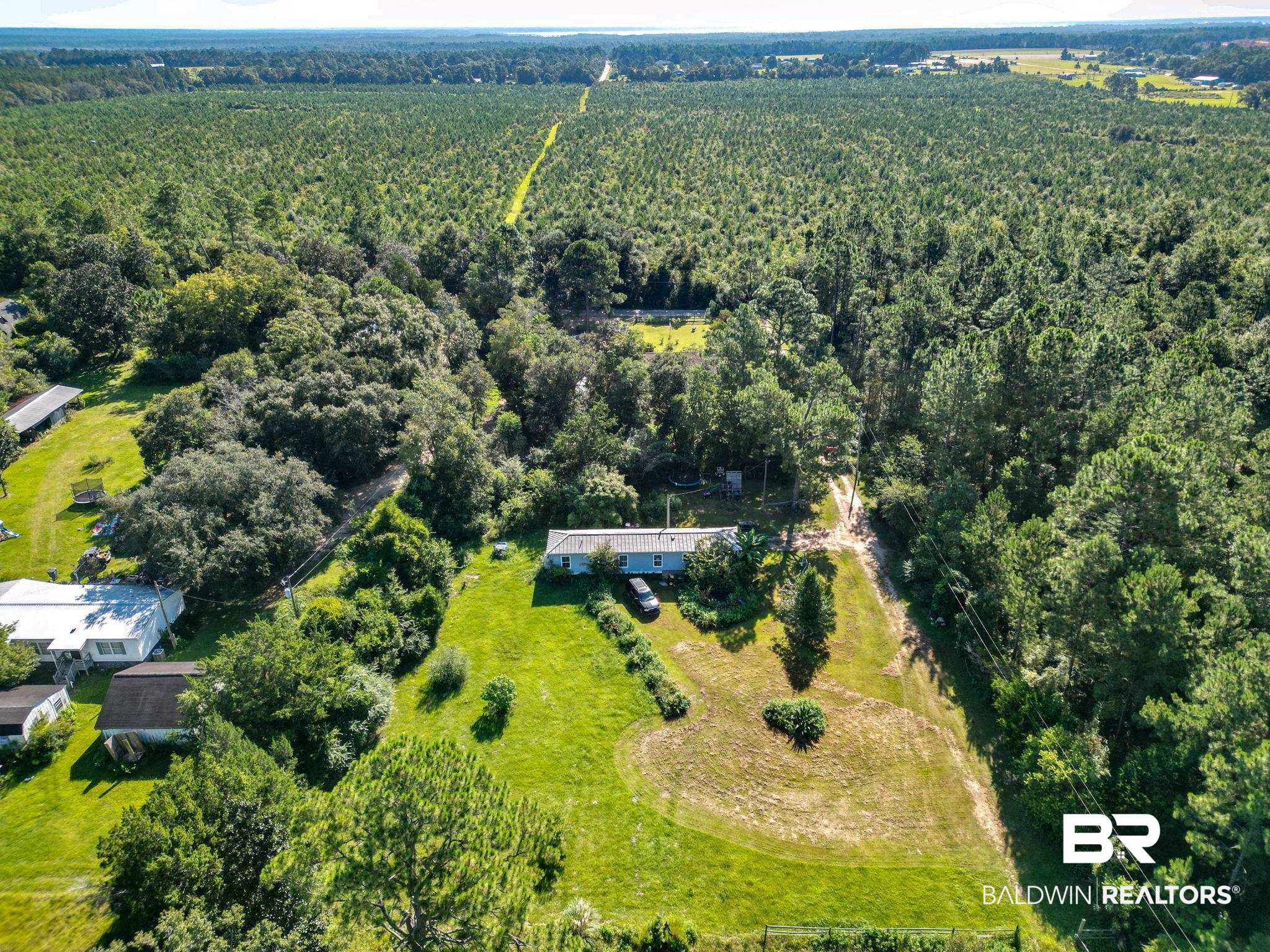 32465 Jay Kee Lane Elberta, AL 36530 - Photo 3 of 17 Bird's eye view of a forest