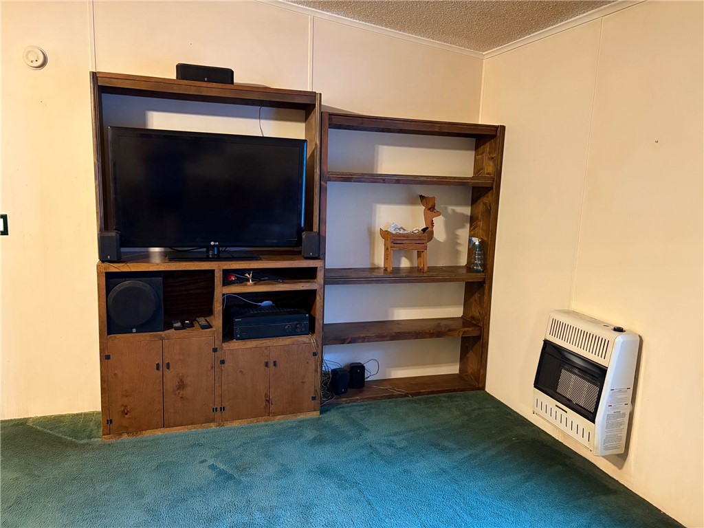 5802 River Trail Blackshear, GA 31516 - Photo 13 of 41 family room