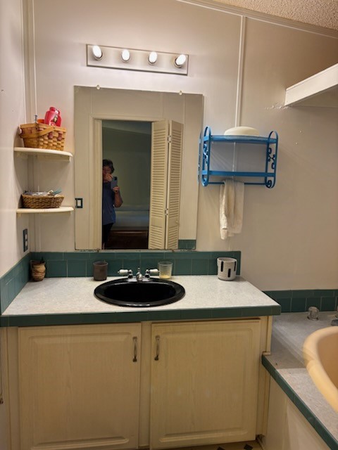 5802 River Trail Blackshear, GA 31516 - Photo 22 of 41 Master vanity and sink