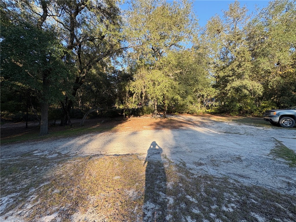 5802 River Trail Blackshear, GA 31516 - Photo 4 of 41 Drive and front yard