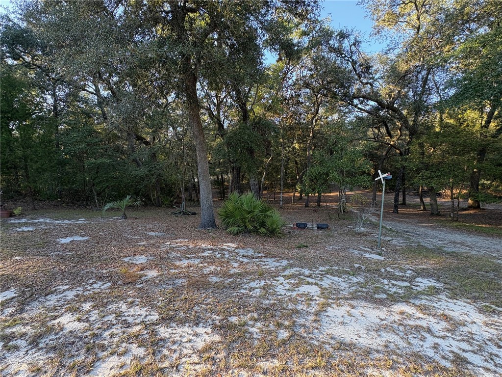 5802 River Trail Blackshear, GA 31516 - Photo 5 of 41