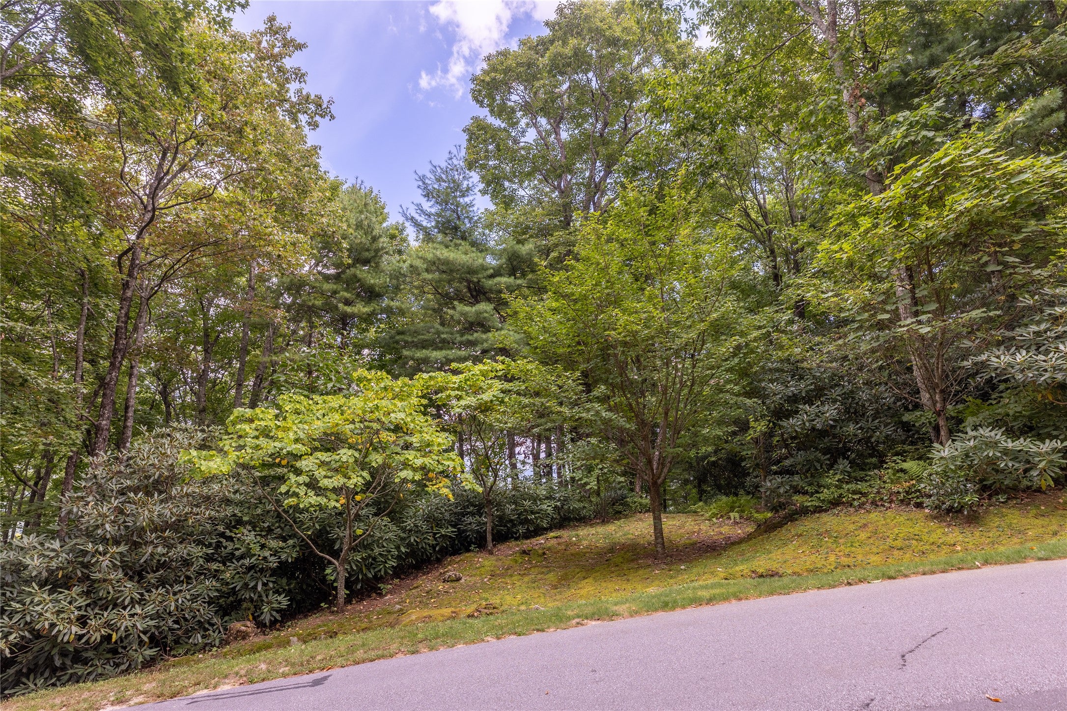 17 Falcon Ridge Highlands, NC 28741 - Photo 5 of 12 Gallery Image 5