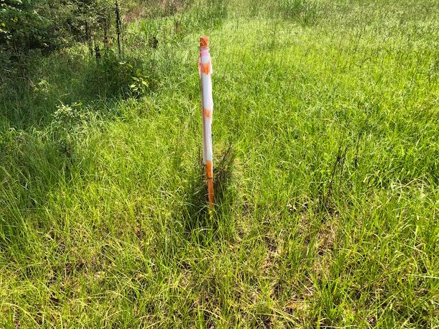 40-ac Cravey Bridge Road Opp, AL 36467 - Photo 8 of 17 Gallery Image 8
