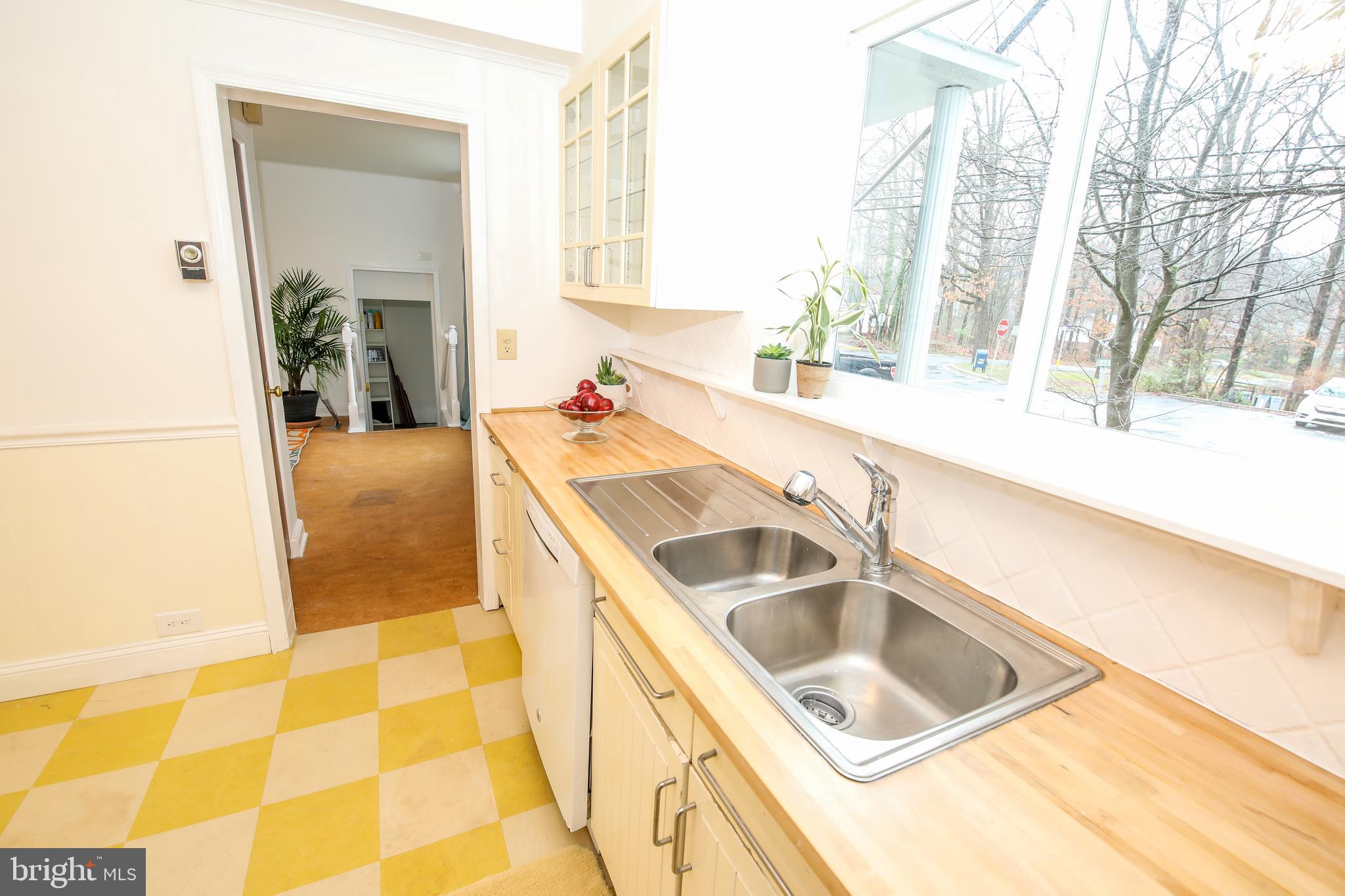 10 Hillside Road, Unit A Greenbelt, MD 20770 - Photo 4 of 44 Double sink with drainboard