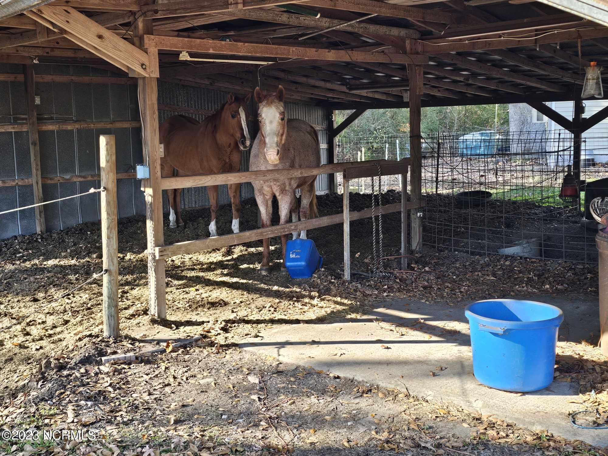 2220 Bailey Road Williamston, NC 27892 - Photo 16 of 18 406472766_901181198265167_75306591741476