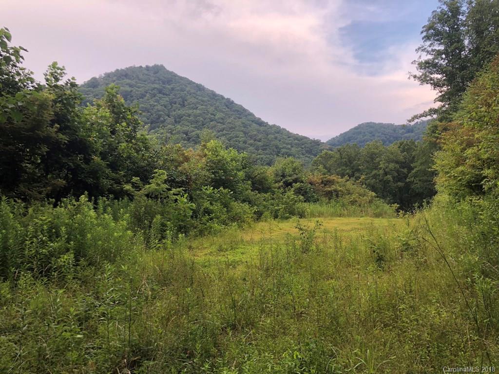 Off Big Branch Road Clyde, NC 28721 - Photo 1 of 12