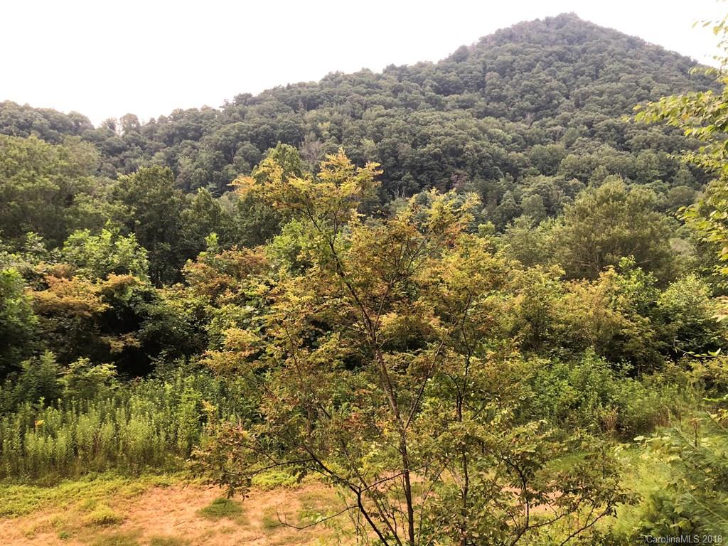 Off Big Branch Road Clyde, NC 28721 - Photo 2 of 12