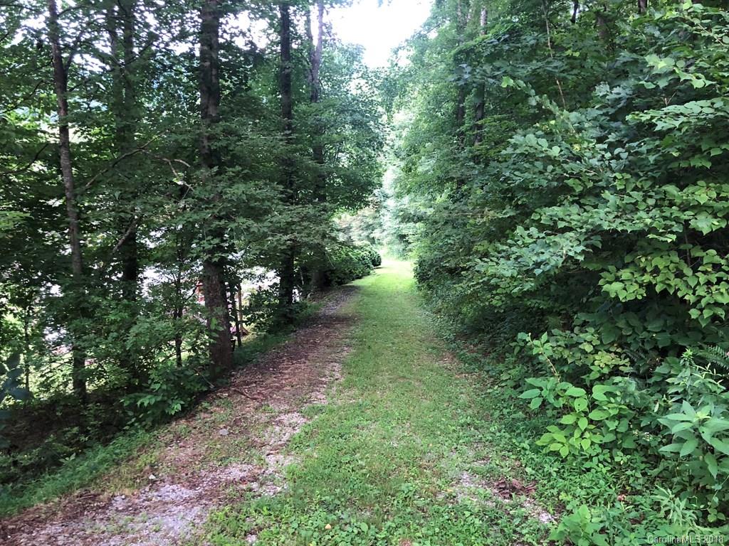 Off Big Branch Road Clyde, NC 28721 - Photo 11 of 12