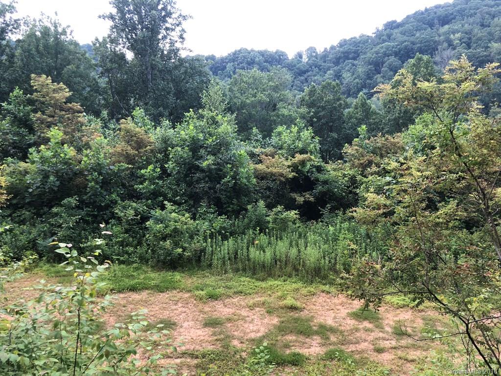 Off Big Branch Road Clyde, NC 28721 - Photo 3 of 12