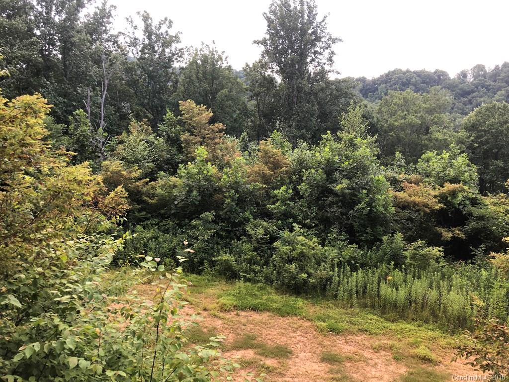 Off Big Branch Road Clyde, NC 28721 - Photo 4 of 12