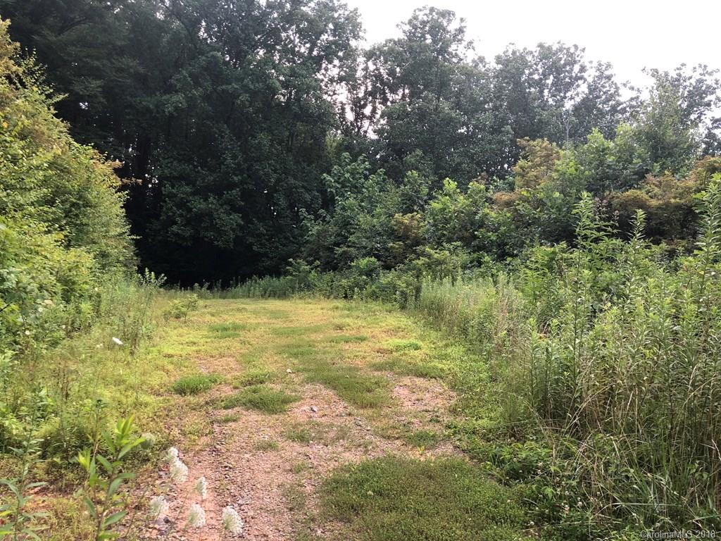 Off Big Branch Road Clyde, NC 28721 - Photo 10 of 12