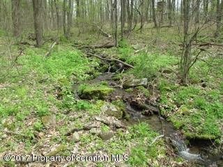 1710 Beaver Pond Road Clarks Summit, PA 18411 - Photo 4 of 6 4