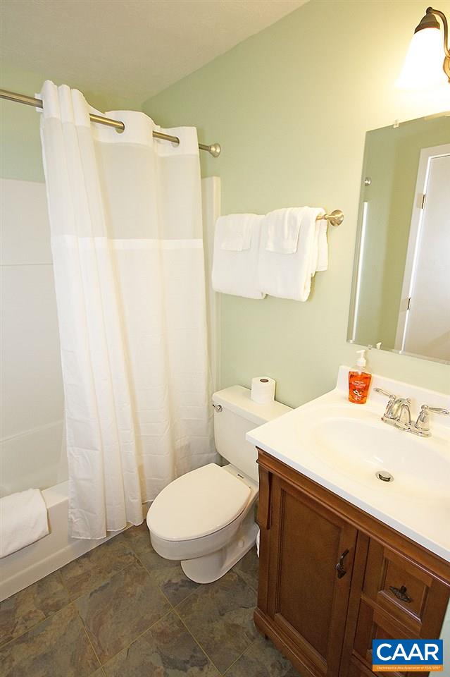 448 Three Ridges Roseland, VA 22967 - Photo 14 of 19 a bathroom with a sink a toilet and shower