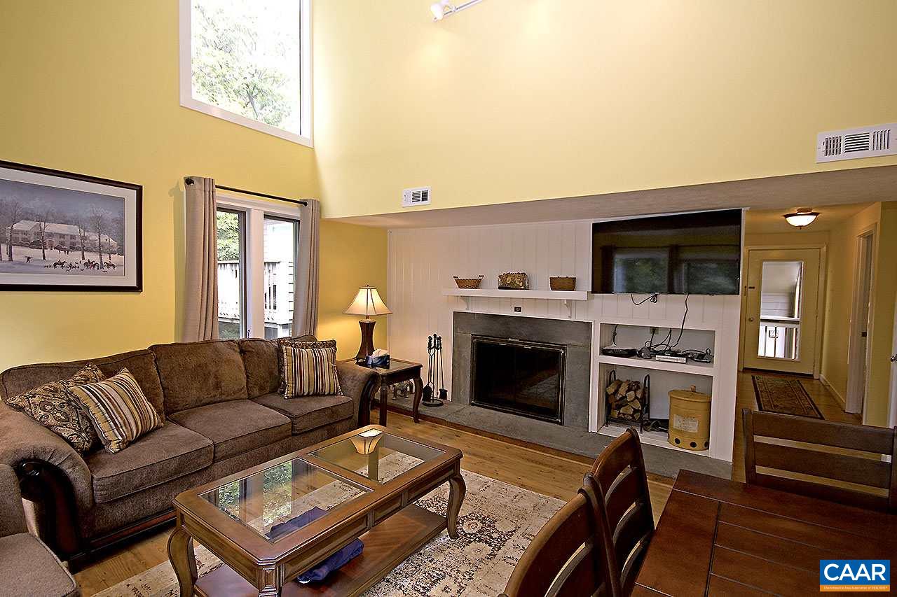 448 Three Ridges Roseland, VA 22967 - Photo 6 of 19 a living room with furniture a flat screen tv and a fireplace