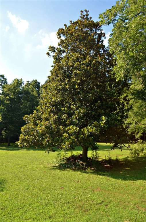 424 Osteen Road Piedmont, SC 29673 - Photo 32 of 36 Gallery Image 32
