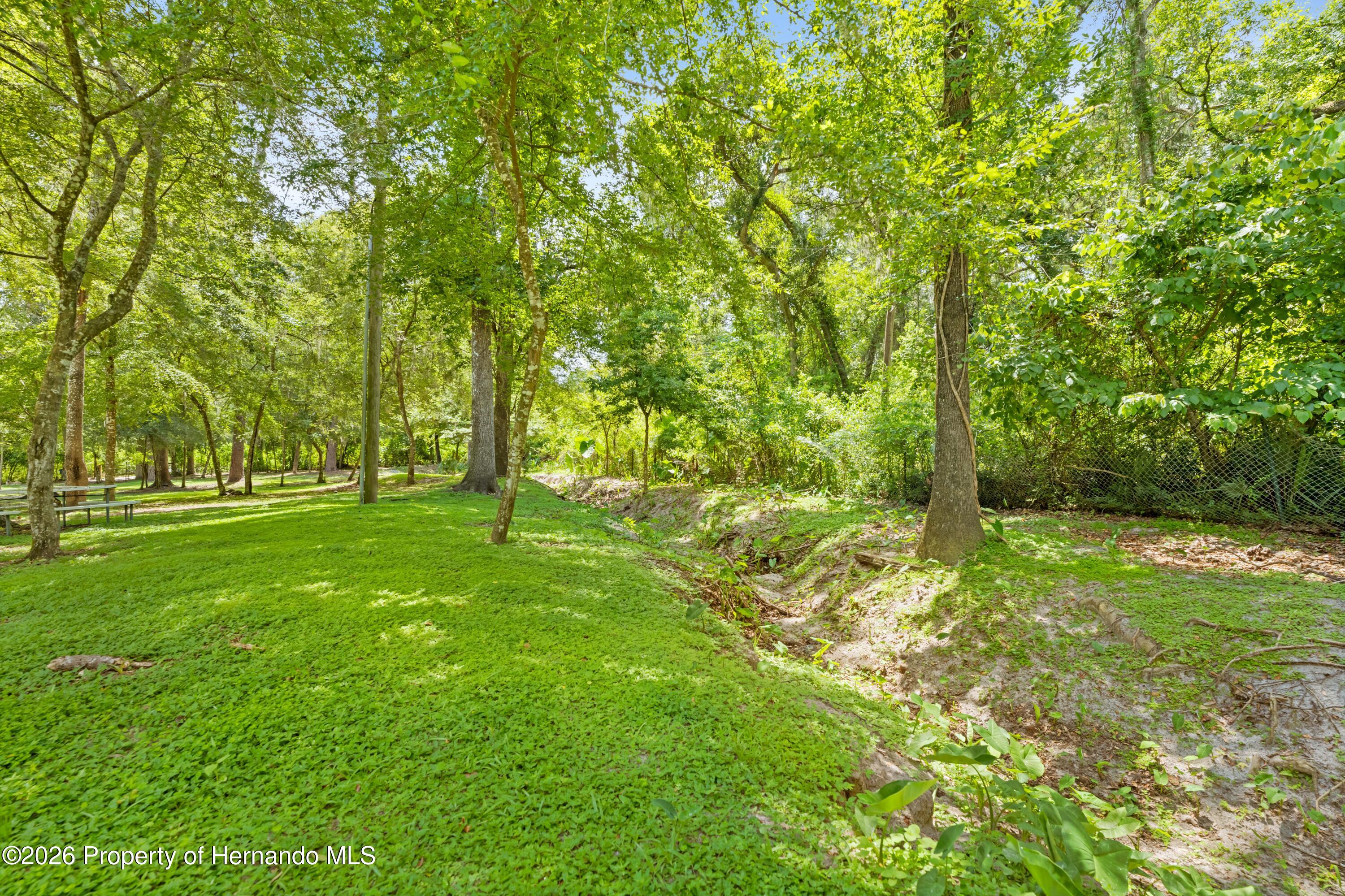 3311 Baseball Pond Road Brooksville, FL 34602 - Photo 15 of 18 a view of yard with green space