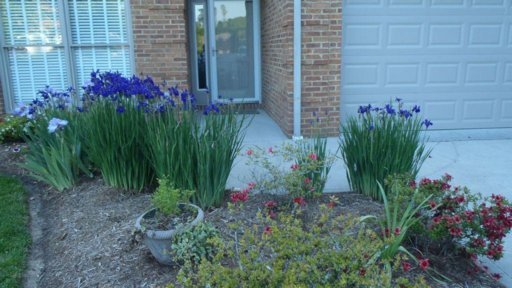 134 Emory Lane Oak Ridge, TN 37830 - Photo 13 of 16 Additional Photo