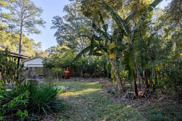 a view of street along with trees