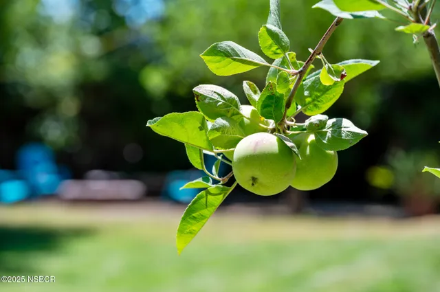 $1,695,000 | 1011 North Refugio Road, Santa Ynez, CA 93463