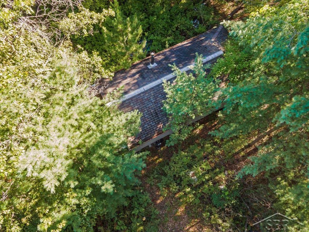 Vl Fireline Trail Alger, MI 48610 - Photo 13 of 15