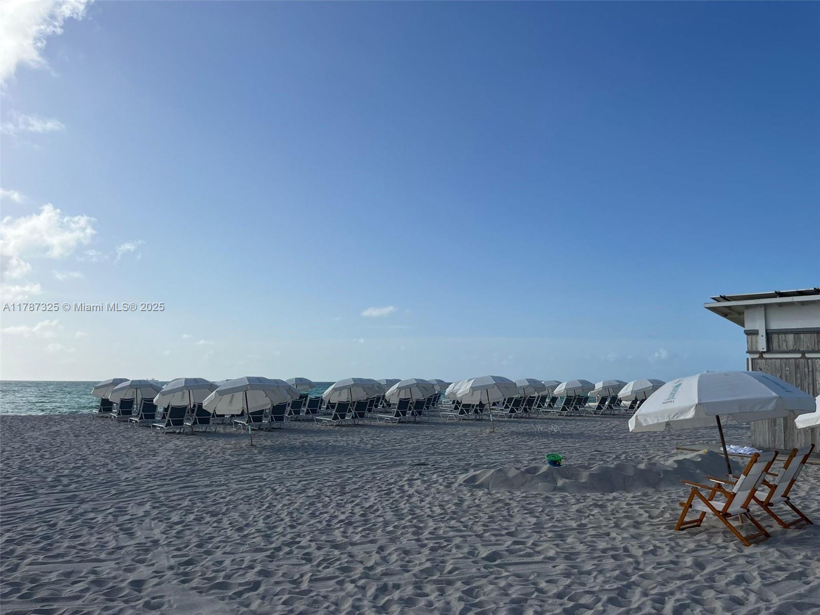2301 Collins Avenue, Unit 628 Miami Beach, FL 33139 - Photo 20 of 25 a view of a backyard of the house