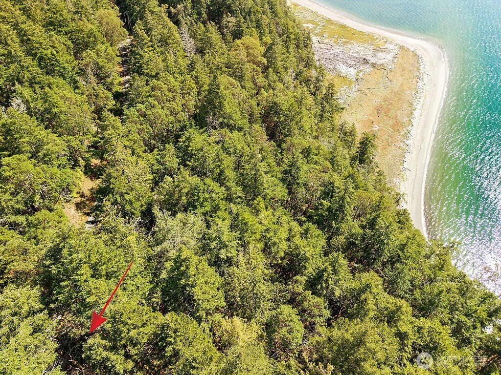 6982 Cape George Road Port Townsend, WA 98368 - Photo 3 of 30 Gallery Image 3