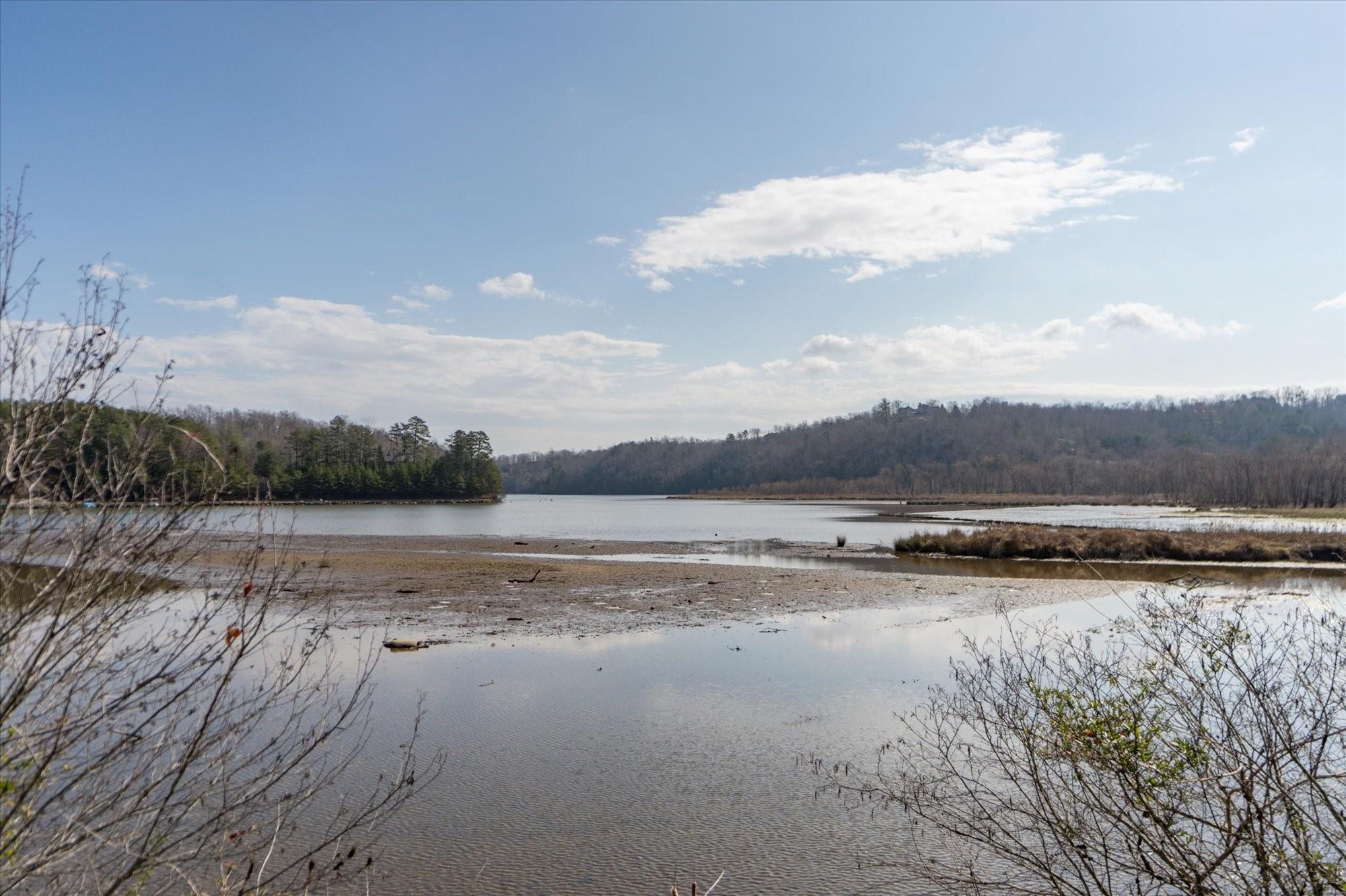 531 Sloping Meadow Mill Spring, NC 28756 - Photo 43 of 46 a view of lake view and mountain view