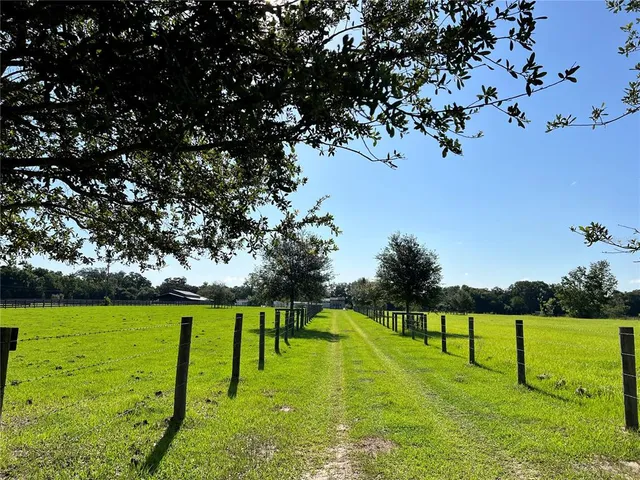 a view of a park with large trees