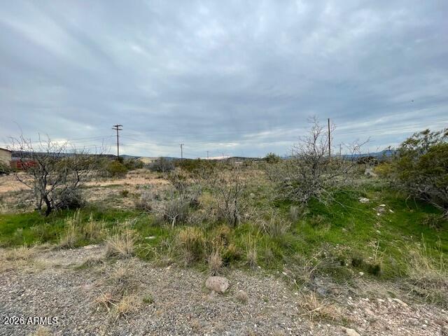 4885 East Lavin Lane, Unit 241 AND 242 Rimrock, AZ 86335 - Photo 3 of 6 a view of a yard with trees in front of it