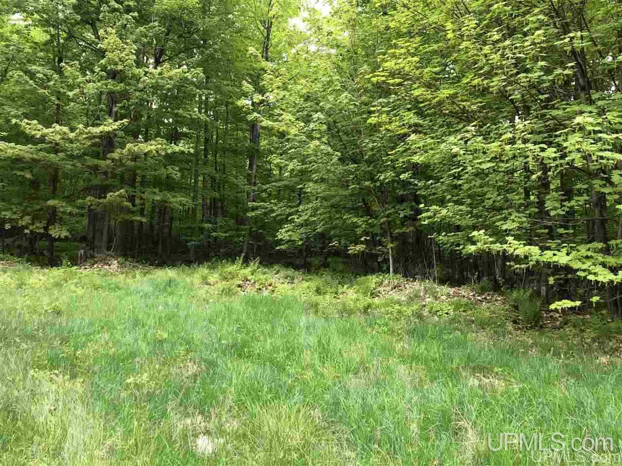 Tbd Will Pryor Road Big Bay, MI 49808 - Photo 14 of 18