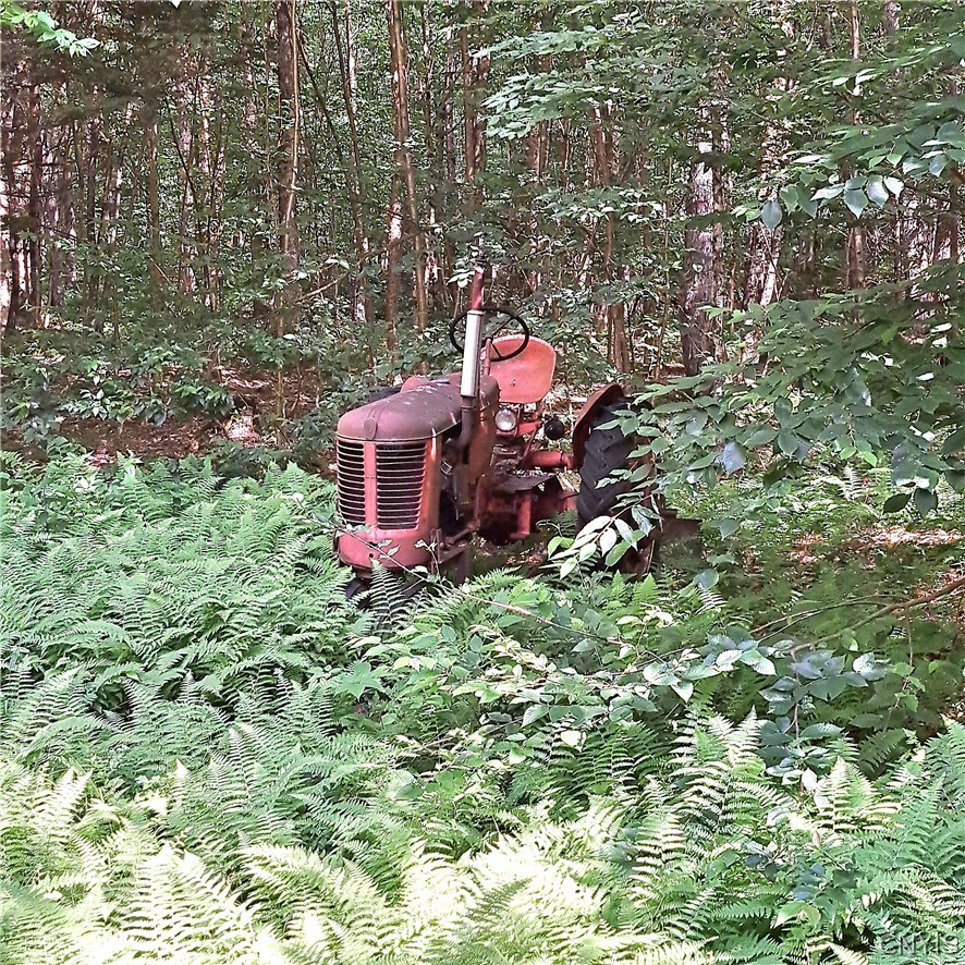 Lot #5 Dolly Road, Unit 5 Camden, NY 13316 - Photo 4 of 8