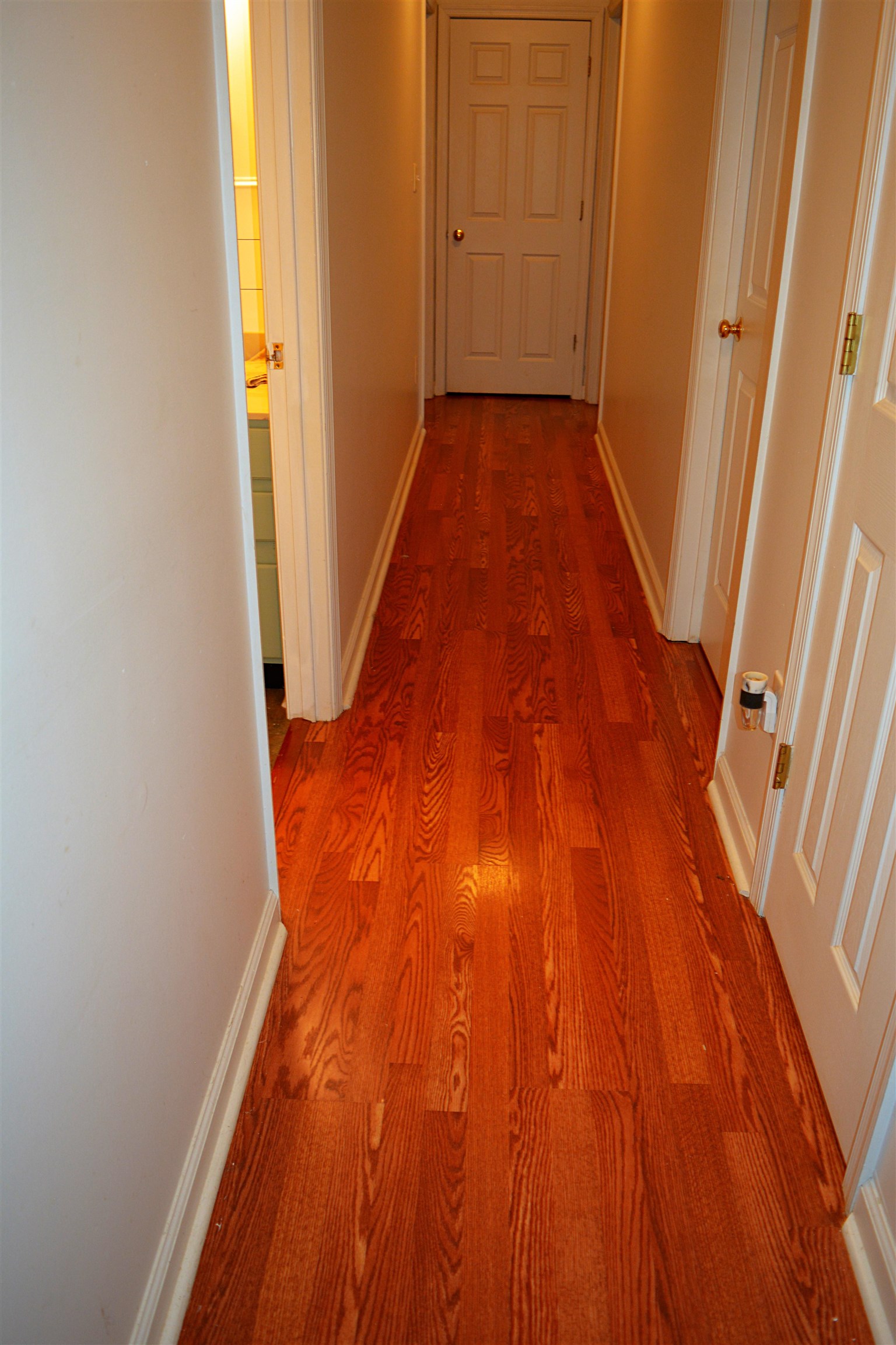 114 William Road Ruckersville, VA 22968 - Photo 8 of 19 a view of a hallway with wooden floor